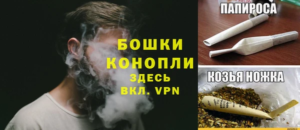 молекула духа Аркадак