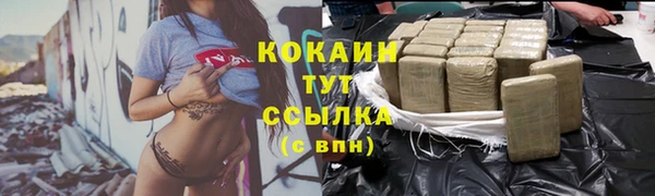 стаф Арсеньев