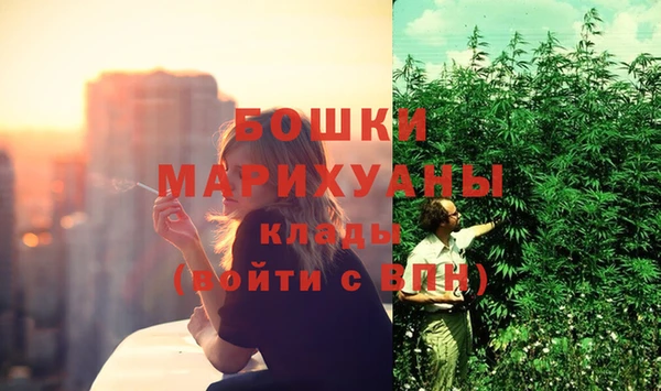 стаф Арсеньев