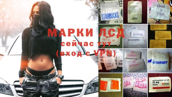молекула духа Аркадак