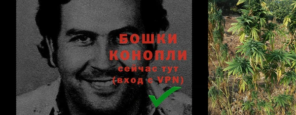 молекула духа Аркадак