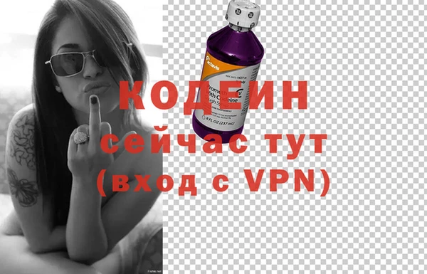 стаф Арсеньев