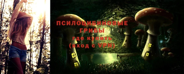 молекула духа Аркадак