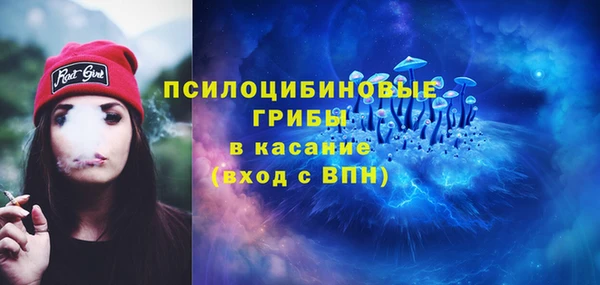 стаф Арсеньев