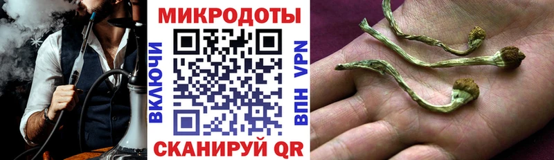 наркота  Сосногорск  Псилоцибиновые грибы Psilocybine cubensis 